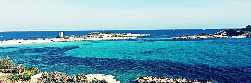 dsrvalen's profile banner image