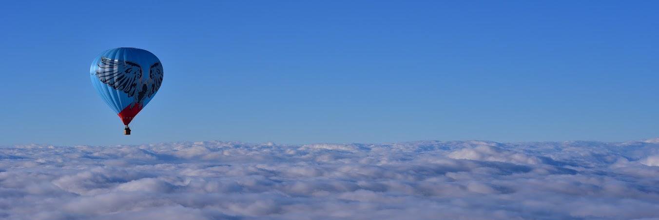 Rob den Boer banner