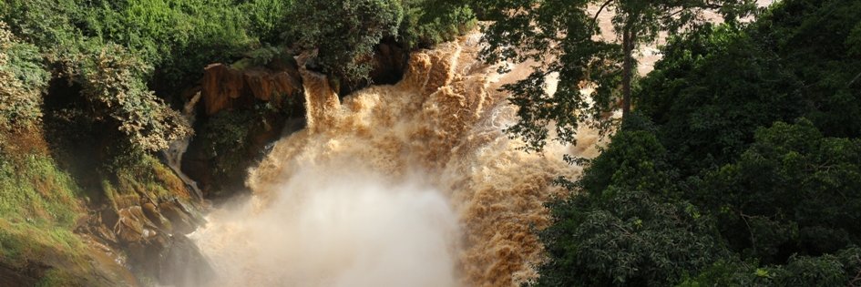 RUSUMO NELSAP banner