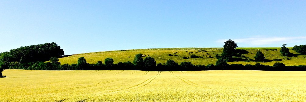HantsEatWell's profile banner image