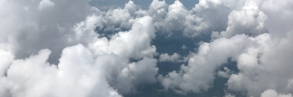 whtnygi's profile banner image