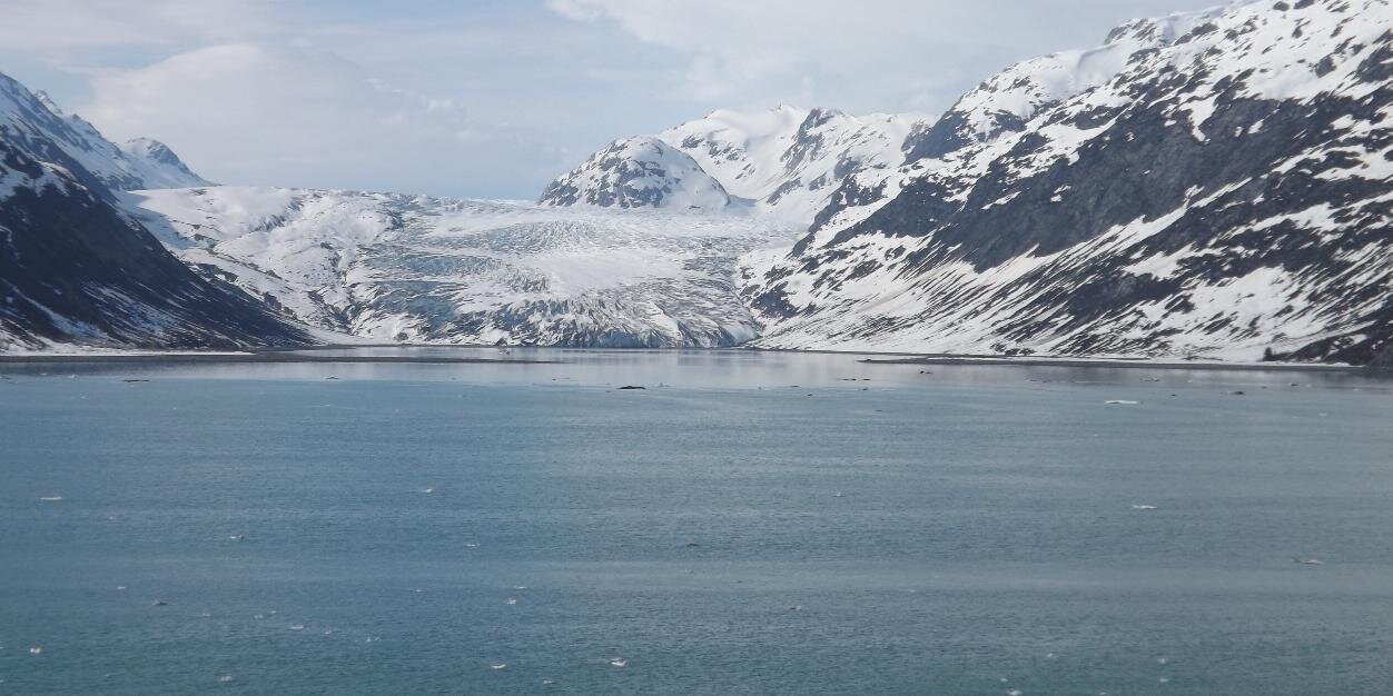 Derek Johnson banner