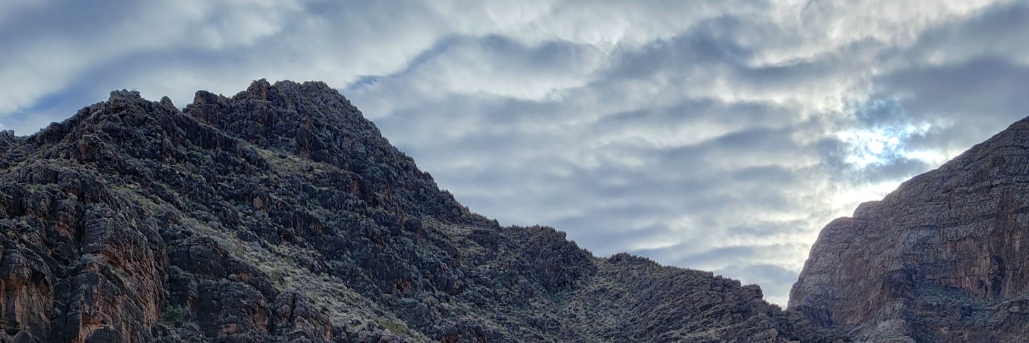Handy Mandy banner