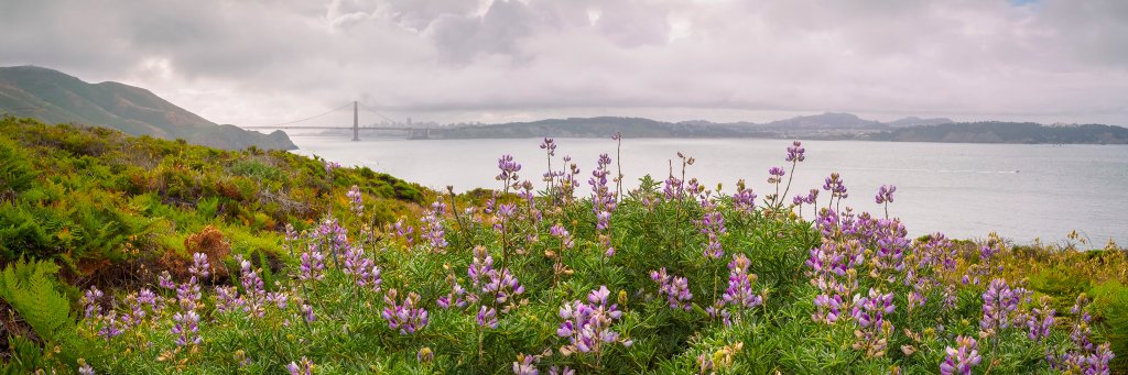 Resilient by Design banner