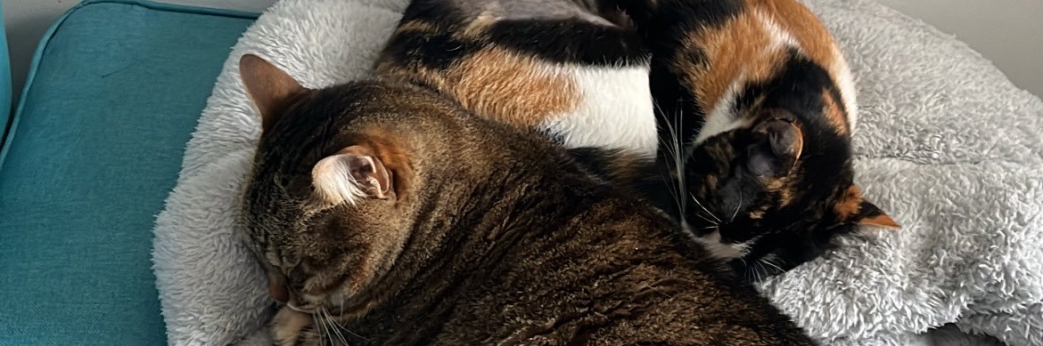 JulicVera_'s profile banner image