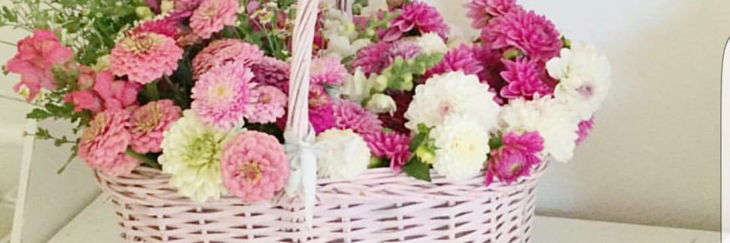 Nada_Saeed2's profile banner image