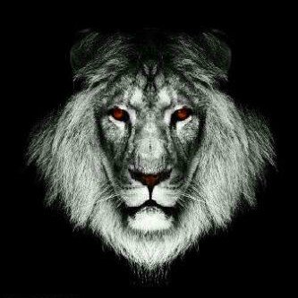 Swagg_Nator's profile banner image