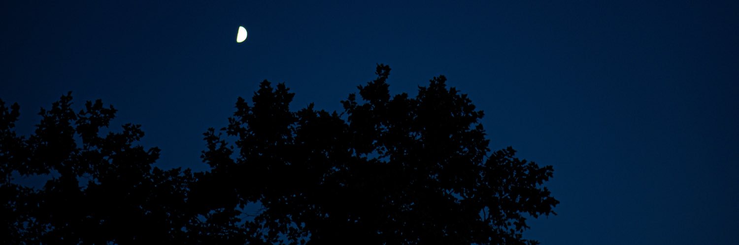 EWIGGIE's profile banner image