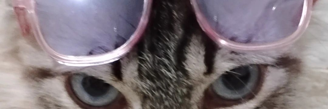 IsjustMarina's profile banner image