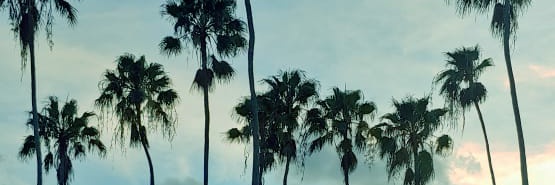 laetitiaoliveir's profile banner image