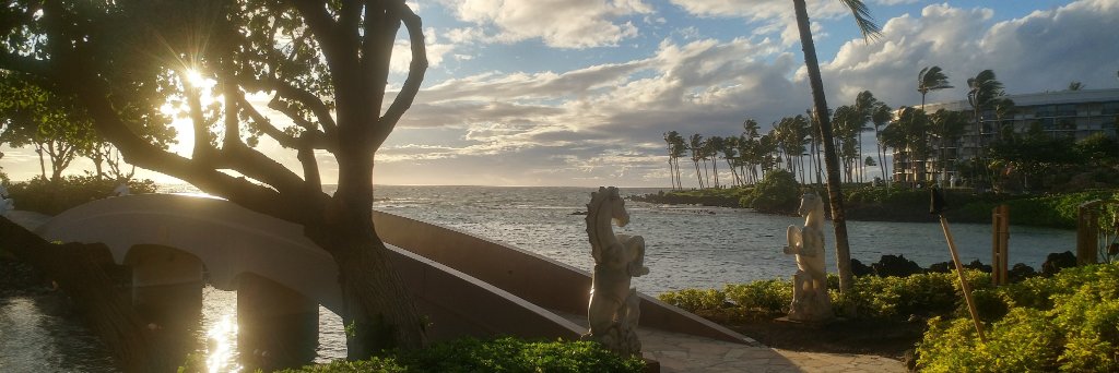 jayjaybillings's profile banner image