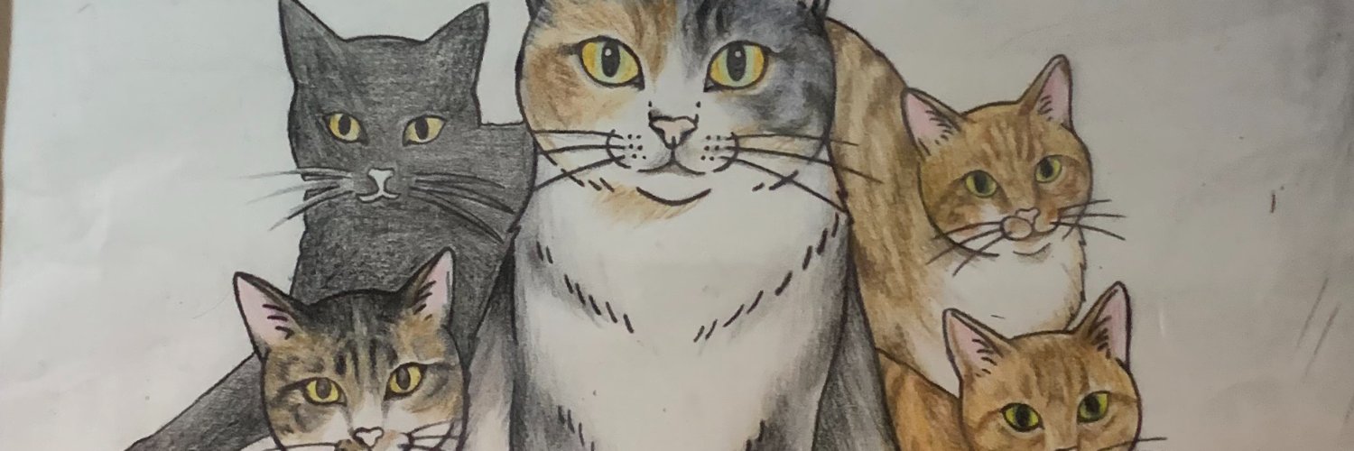 NPSTOCC's profile banner image