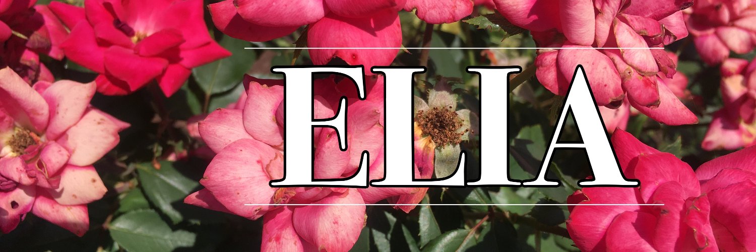 EliaMagazine's profile banner image