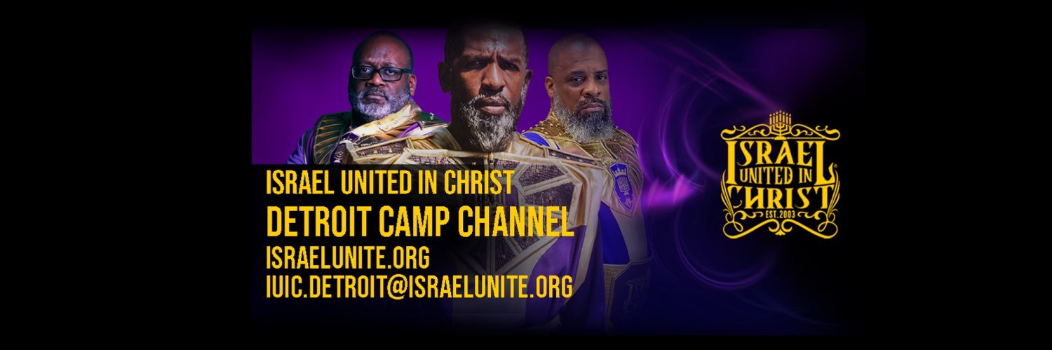 IUICDetroit's profile banner image
