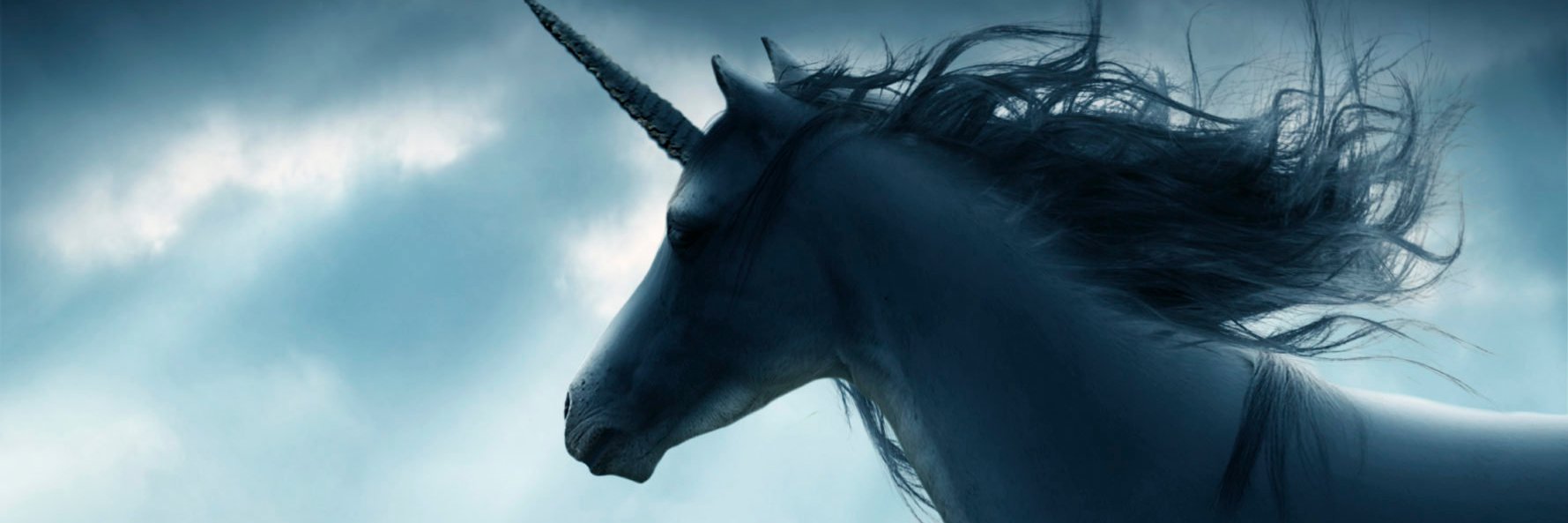 ŜĤÊĈĈĨĎ banner