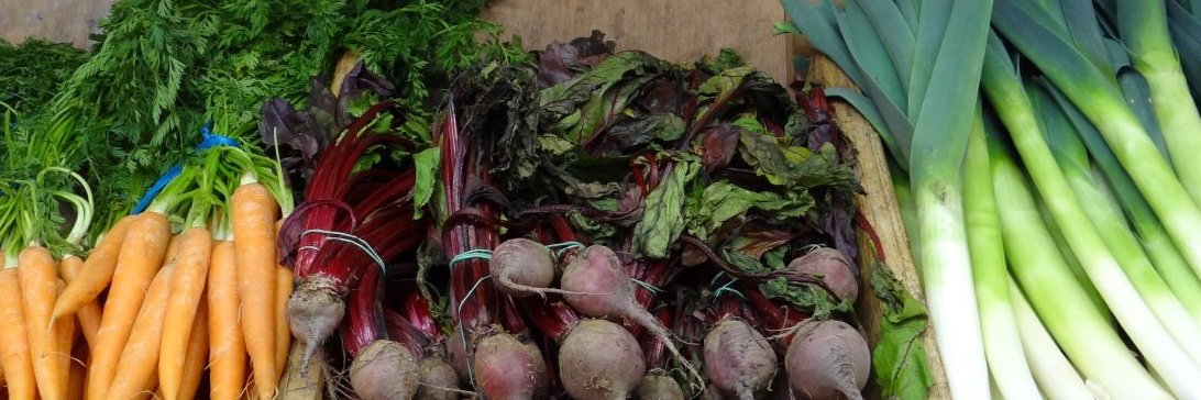 Dr Lydia Medland banner