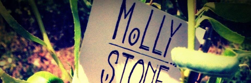 MollyStone_fr's profile banner image