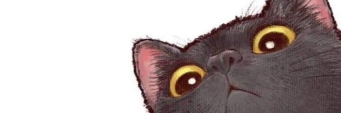 poor_muggle's profile banner image