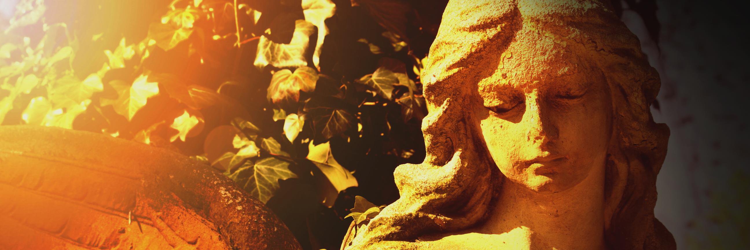 kgparry's profile banner image