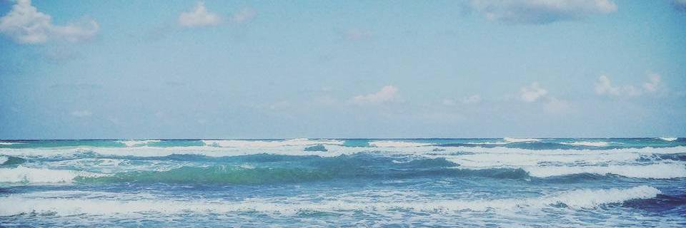 shrem98cabello's profile banner image