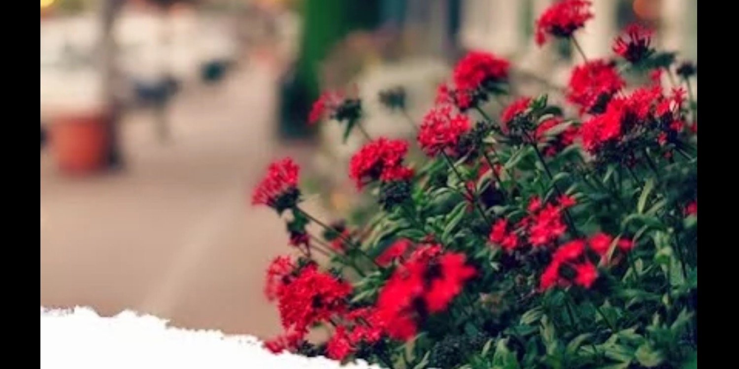 ro222_ro's profile banner image