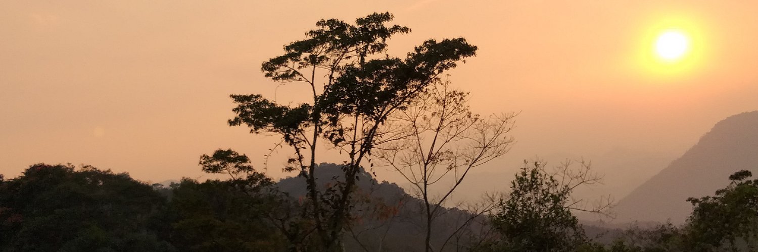 Tanya Roberts-Davis 🍉 banner