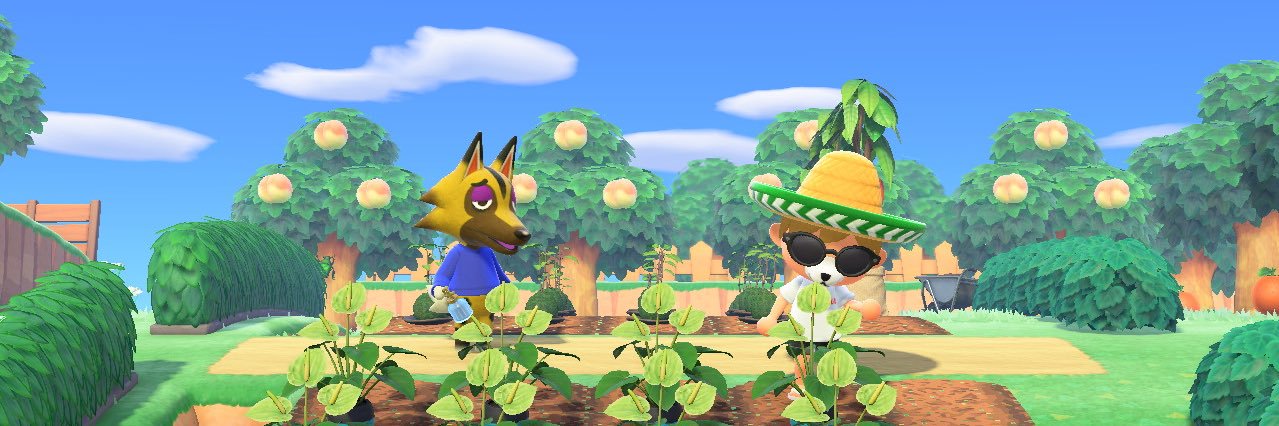 ruci_rof's profile banner image