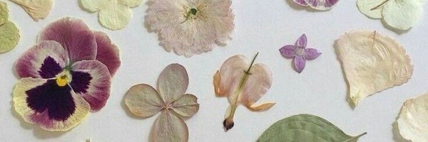 firefliesly Profile Banner