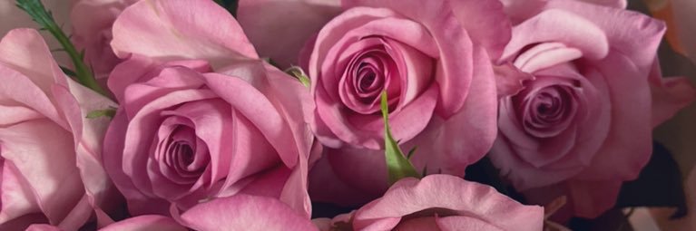 石神ちゃん banner