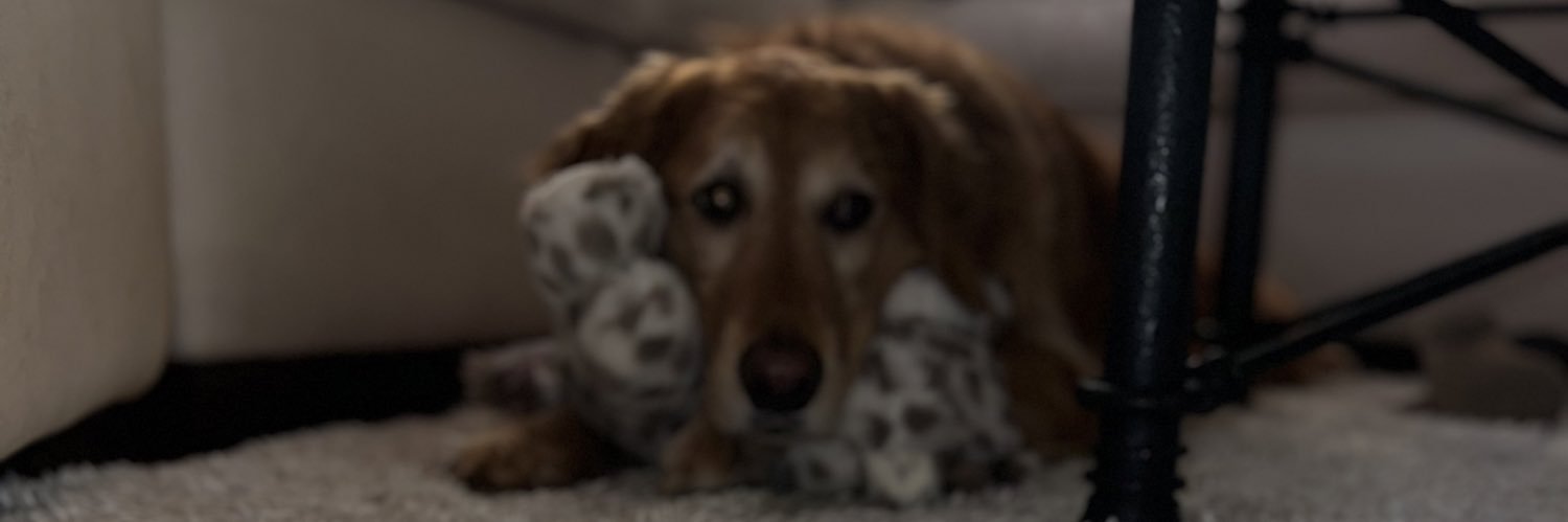 twj1993's profile banner image