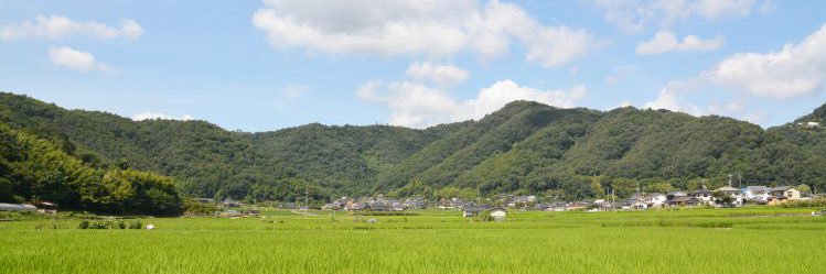 ren__t1479's profile banner image
