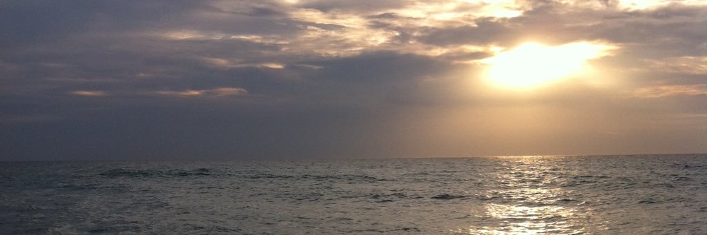 jnamri's profile banner image
