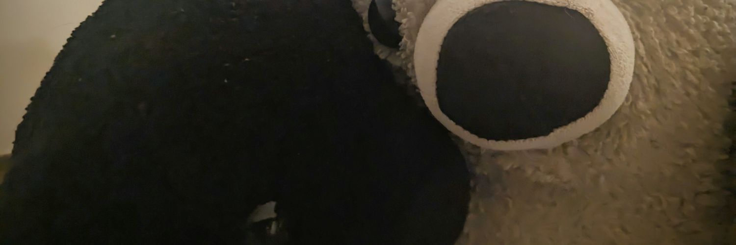 mamoxcof's profile banner image