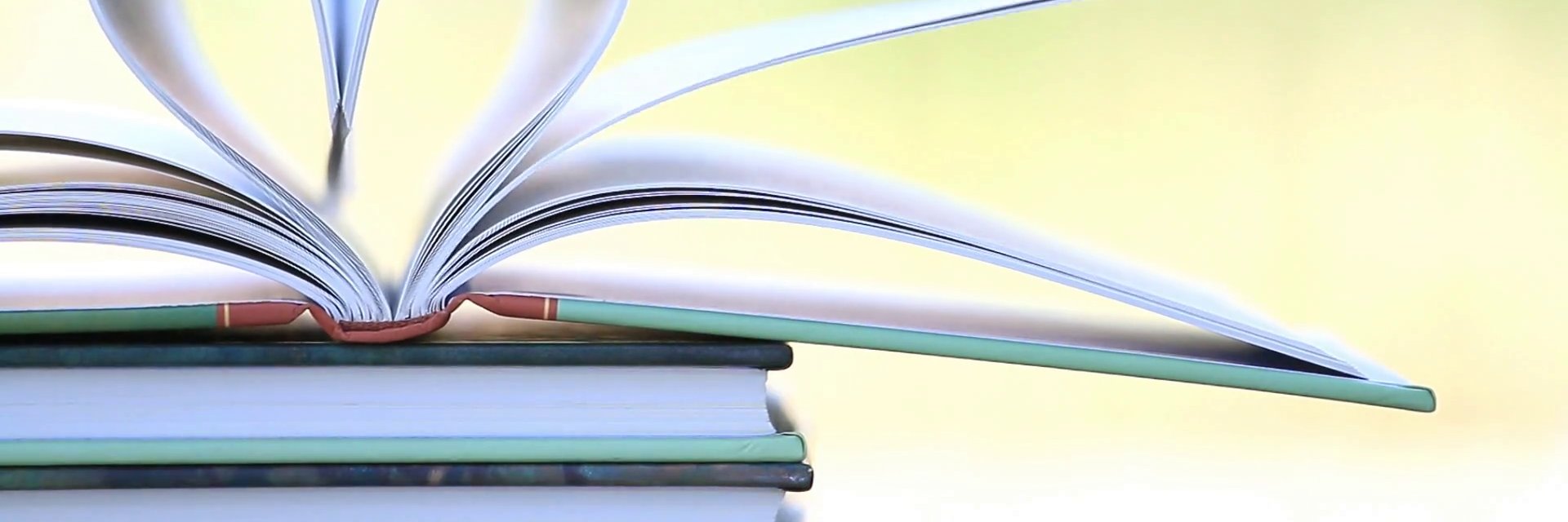 Sybil Obuobi, PhD banner