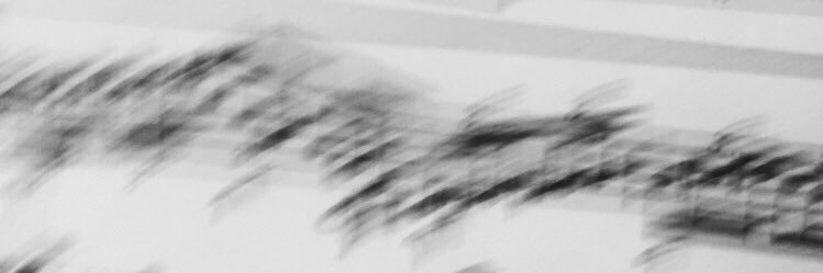 RodrigoTGdor's profile banner image