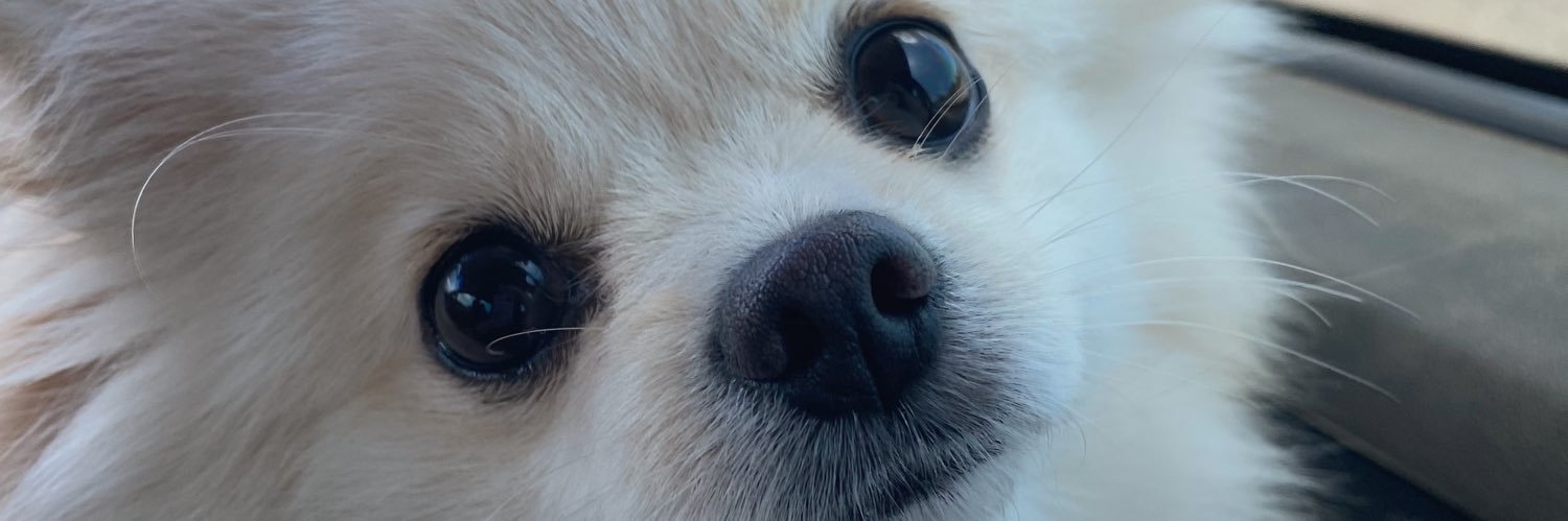 gabs banner