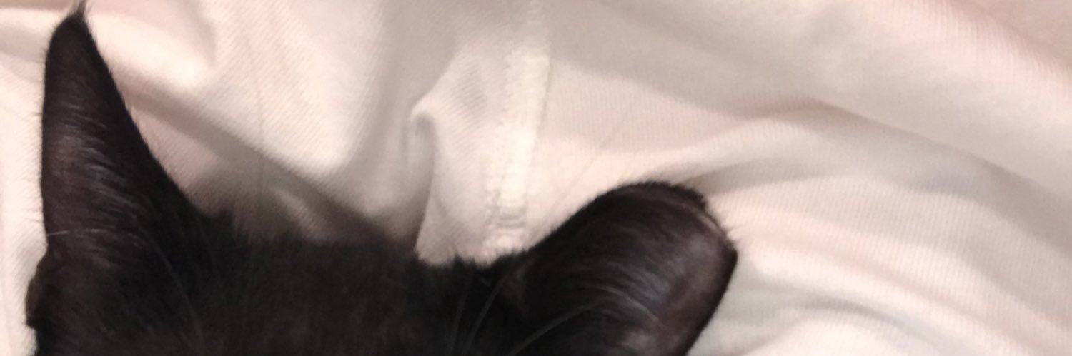 tash banner