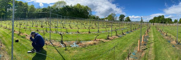 BakerConsultant Profile Banner