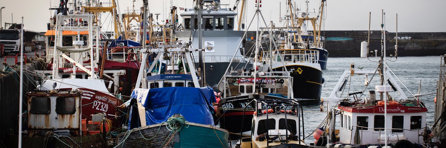 Flying Fish Seafoods banner