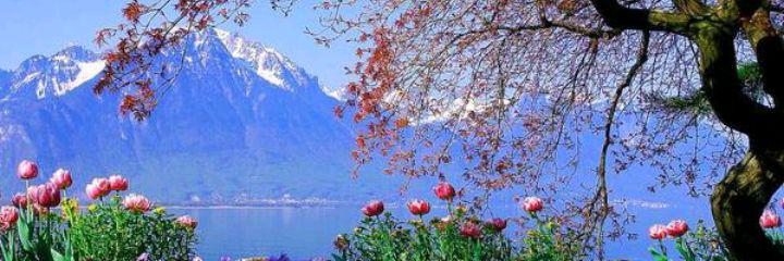 ahmed9853's profile banner image