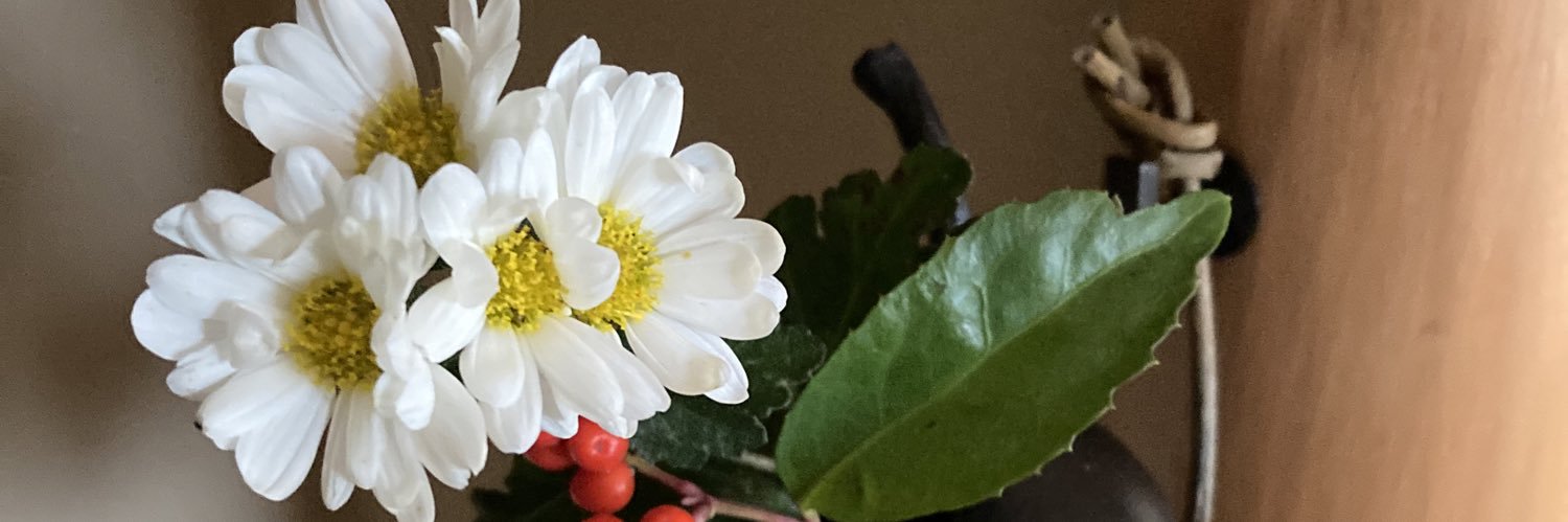 halhal0116's profile banner image