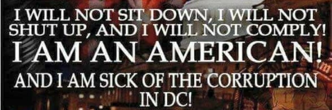 James B 🇺🇲🇨🇱 #SAVEAMERICA #DONTTREADONME banner