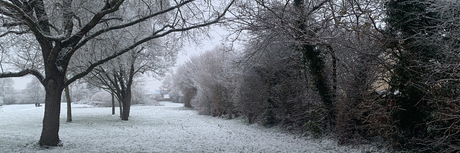 roz_burch's profile banner image