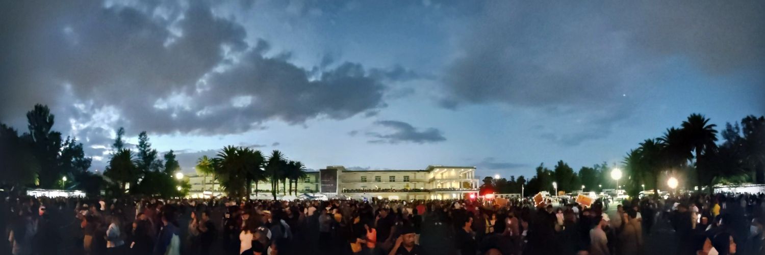 𝗢𝗹𝗶𝘃𝗲𝗿 ∴ banner