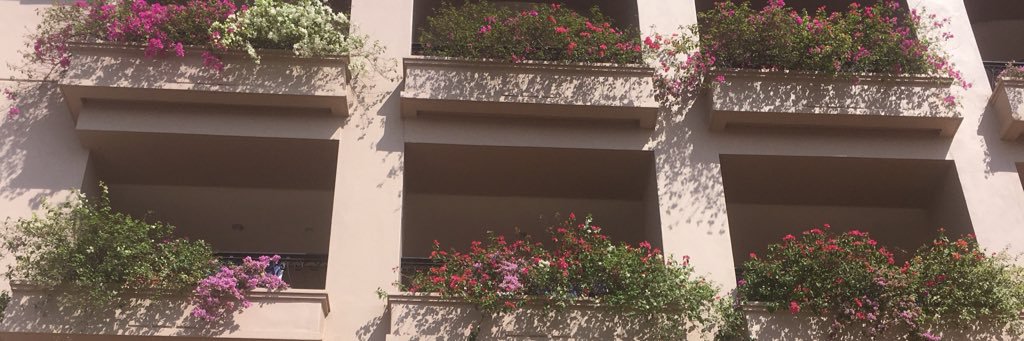 gummyshakin's profile banner image