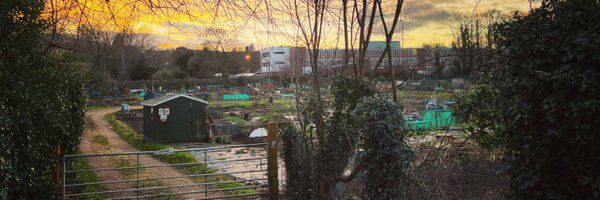 LifeOnPlot50a Profile Banner