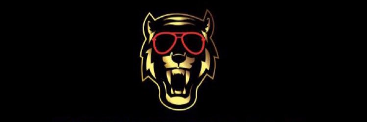 STUNNERVILLE's profile banner image