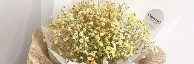 annisaaaiman's profile banner image