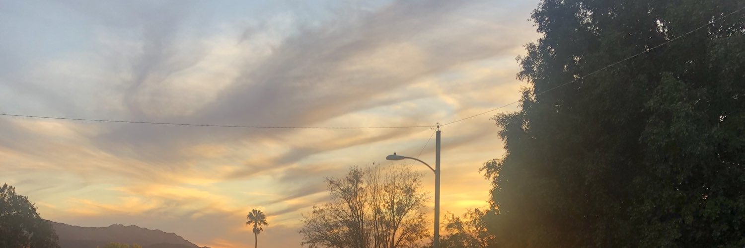 ElliePingry's profile banner image
