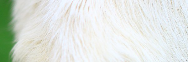 _artstroll Profile Banner